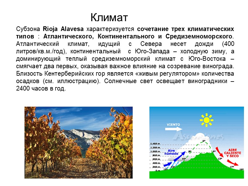 Климат Субзона Rioja Alavesa характеризуется сочетание трех климатических типов : Атлантического, Континентального и Средиземноморского.